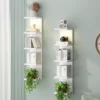 Hanging Display Rack Wall Shelves