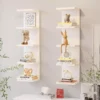 Hanging Display Rack Wall Shelves